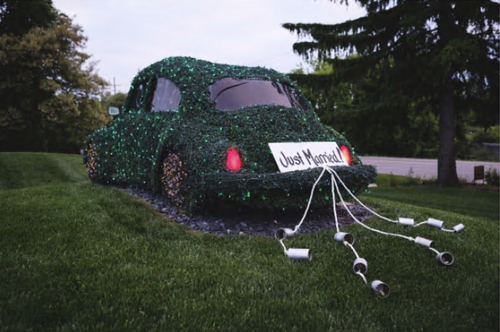 The story behind Planterra's Love Bug — Planterra Conservatory